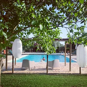 agriturismo-il-puntoncino.it-tuscanyhotel.com/